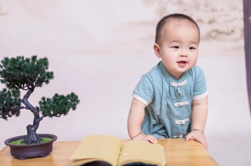 沛县可爱的企鹅宝宝